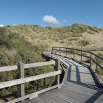 Sentier de la dune parabolique (10)