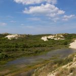 Sentier de la dune parabolique (2)